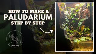 How To Build A Paludarium Step By Step 2023 [upl. by Primo]