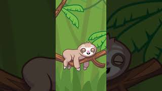 Sloth Jokes that Will Brighten Your Day funny sloth [upl. by Verneuil]