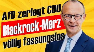 AfD greift SPD und CDU an Brandner bringt Merz mit einem kraftvollen Konter ins Wanken [upl. by Alison]