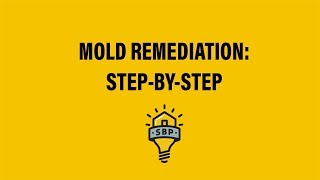 SBP StepbyStep Mold Remediation Guide [upl. by Secor970]