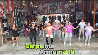 Serpiente Armonia 10 [upl. by Kind747]