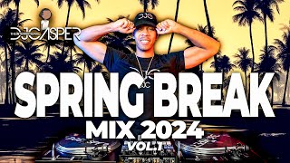 NEW SPRING BREAK MIX 2024 🔥  BEST SPRING BREAK DANCE PARTY MIX 2024 🌴 [upl. by Apilef745]