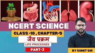 NCERT Class 10 Science Chapter 05 जैव प्रक्रम Part3 Life Processes [upl. by Bunns524]