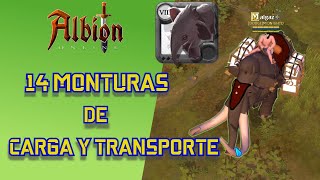 Las 14 Monturas de Carga y Transporte Tutorial  Albion Online [upl. by Whorton4]