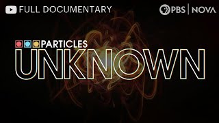 Particles Unknown Hunting Neutrinos  Full Documentary  NOVA  PBS [upl. by Norrek]