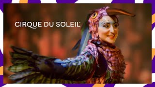 LUZIA  FIESTA FINALE  Official Music Video  Cirque du Soleil [upl. by Nomad831]