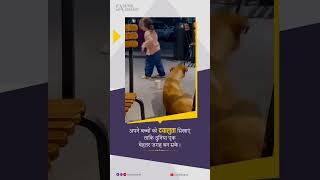 Jesi karni veshi bharnidoglover dog motivation trending viralshort ytviral ytshorts [upl. by Perl]