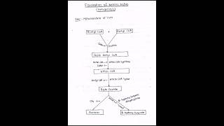 Formation and utilization of ketone bodies ketogenesis ketolysis biochemistry bpharmacy mbbs [upl. by Winser]