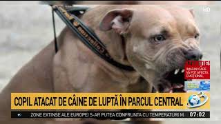 Un copil de 4 ani a fost atacat de un câine de luptă în timp ce se juca în parc Micuțul a fos [upl. by Karol]