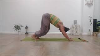 How to float from DownwardFacing Dog to Crow Pose [upl. by Etterraj]