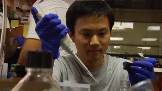 Undergraduate Research at Carnegie Mellon [upl. by Ardekal]