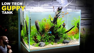 THE GUPPY TANK LOW TECH LOW BUDGET AQUASCAPE TUTORIAL [upl. by Nesyaj538]