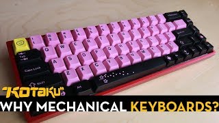 Whats So Great About Mechanical Keyboards [upl. by Hashimoto]