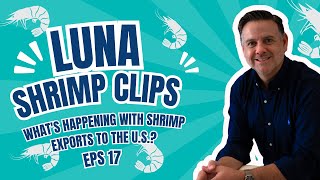 Luna Shrimp Clip 17  Whats Happening with Shrimp Exports to the US [upl. by Oech]