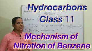 Mechanism of nitration of benzene Hydrocarbons Class 11 NCERT Nitration Of Benzene [upl. by Arnulfo]