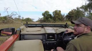 Afternoon Game Drive at Makutsi Camp [upl. by Middendorf]