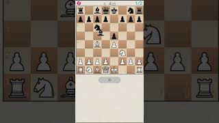 Evans Gambit second variation chess learnchesstrapin30seconds chessopening [upl. by Modestine]