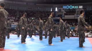 Taekwondo display by the Korean army at the 2013 Hammadang [upl. by Lossa]