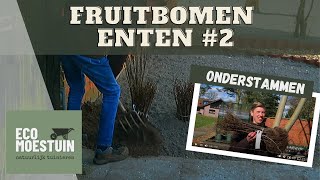 Fruitboom onderstammen [upl. by Gariepy]