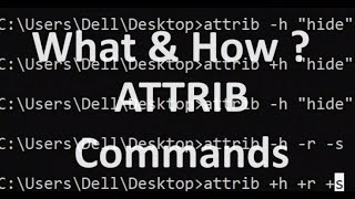 What is ATTRIB Command How to use in command prompt [upl. by Samtsirhc]