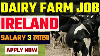 Ireland dairy farm job 2024How to apply dairy farm jobIreland seasonal visaEurope work visa [upl. by Ogir]