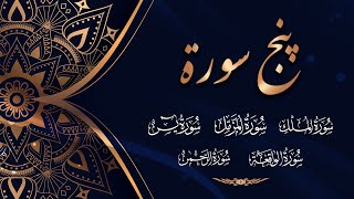 Punj Surahپنج سورۃTilawat E Quran  Surah YaseenRehmanWaqaiMulkMuzamil  Holy Quran Recitation [upl. by Moyra545]