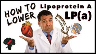 How To Reduce Lipoprotein A  Lower LPa Levels Naturally [upl. by Akineg]