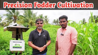 Precision Fodder Cultivation using Grotron  Precision Farming  Farmagain  Benjamin Raja [upl. by Iramat245]