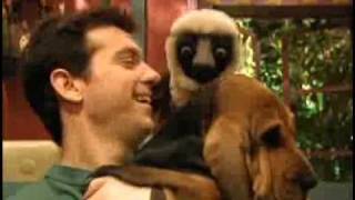 Zoboomafoo Cap quotOidos Que Oyenquot 23 [upl. by Aihsik244]