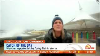 Reporter hit in head by flying fish during weather report sun7 WMV V9 [upl. by Yrret]