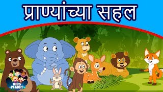 प्राण्यांच्या सहल  Marathi Goshti गोष्टी  Chan Chan Goshti  Marathi Story  Ajibaicha Goshti [upl. by Dov]