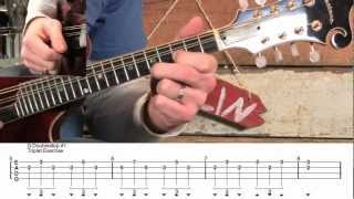 Mandolin Doublestop Exercise Patterns for FillsTremolo [upl. by Maurilla]