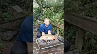 Catching My Biggest Carp Ever fishing shorts [upl. by Caswell]