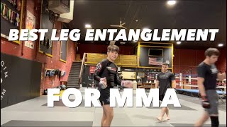 THE BEST LEG ENTANGLEMENT FOR MMA [upl. by Amyas57]