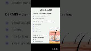 Structure of Skin  layers of skin  Human Anatomy and physiology Bpharma [upl. by Inavoy]