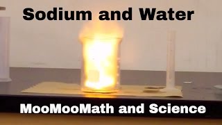 Sodium in water explosion Chemical Reaction [upl. by Nesral]