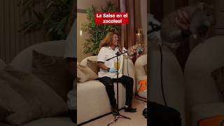 LA SALSA EN EL ZOCOLEO 😂🤣 CON EL DOTOL eldotolnastra alofoke alofokeradioshow [upl. by Mcdermott]