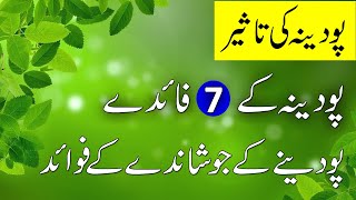 Pudina ke 7 Fayde  Mint Benefits  Podina k Faiday  پودینہ  Podina k Faidy [upl. by Eittap]