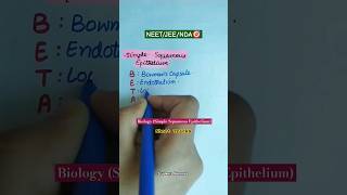 Simple Squamous Epithelium biology neetbiology neet neet2025 shorttrick shorts trendingshorts [upl. by Turne]