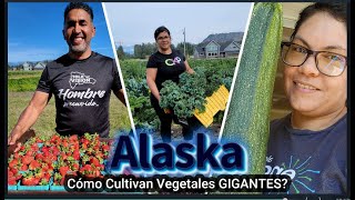 Trabajando En Los Cultivos de Vegetales Más Grandes del Mundo  Serie Alaska  Cap 10 [upl. by Hedley129]