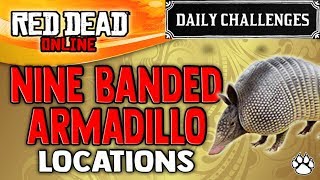 Red Dead Online  Nine Banded Armadillo Locations  RDR2 Daily Challenge Armadillo Skinned [upl. by Neelrihs937]