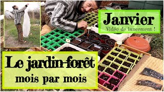 Le jardin forêt mois par mois JANVIER [upl. by Naicad]