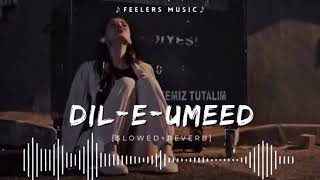 Dil E Umeed Tora Hai Kisi Ne SlowedReverb Feelers Music [upl. by Lucrece378]