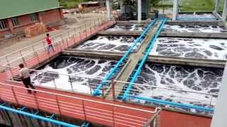 Tarasima Effluent Treatment Plant ETP Plan Video [upl. by Intirb]