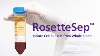 Isolate Cells from Whole Blood without Columns or Magnets RosetteSep™ Immunodensity Cell Separation [upl. by Jaquiss]