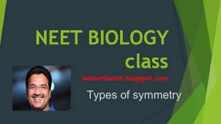 TYPES OF SYMMETRY IN BRIEF [upl. by Odarbil]