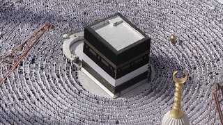 Hajj inizia oggi il pellegrinaggio alla Mecca [upl. by Avehsile664]