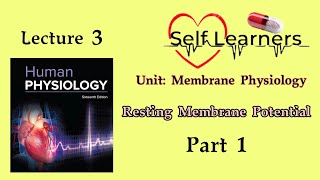 Lecture 3Resting Membrane PotentialMembrane Physiology [upl. by Malik987]