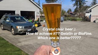 Homebrewing Clarification  BioFine vs Gelatin [upl. by Blatman]