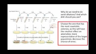 621 Cloning and biotechnology PART 3 g Serial Dilutions [upl. by Renba]